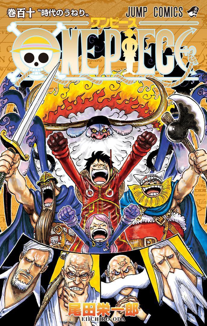 one piece 110 cover